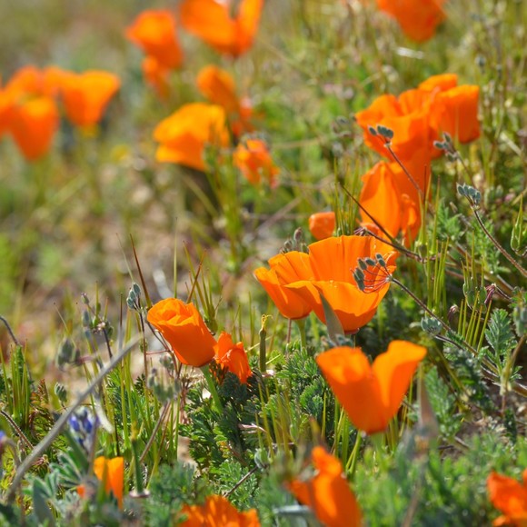 Meet your Posher, Marina - Picture 1 of 1